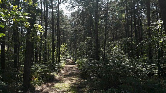 Muzyczna Chata